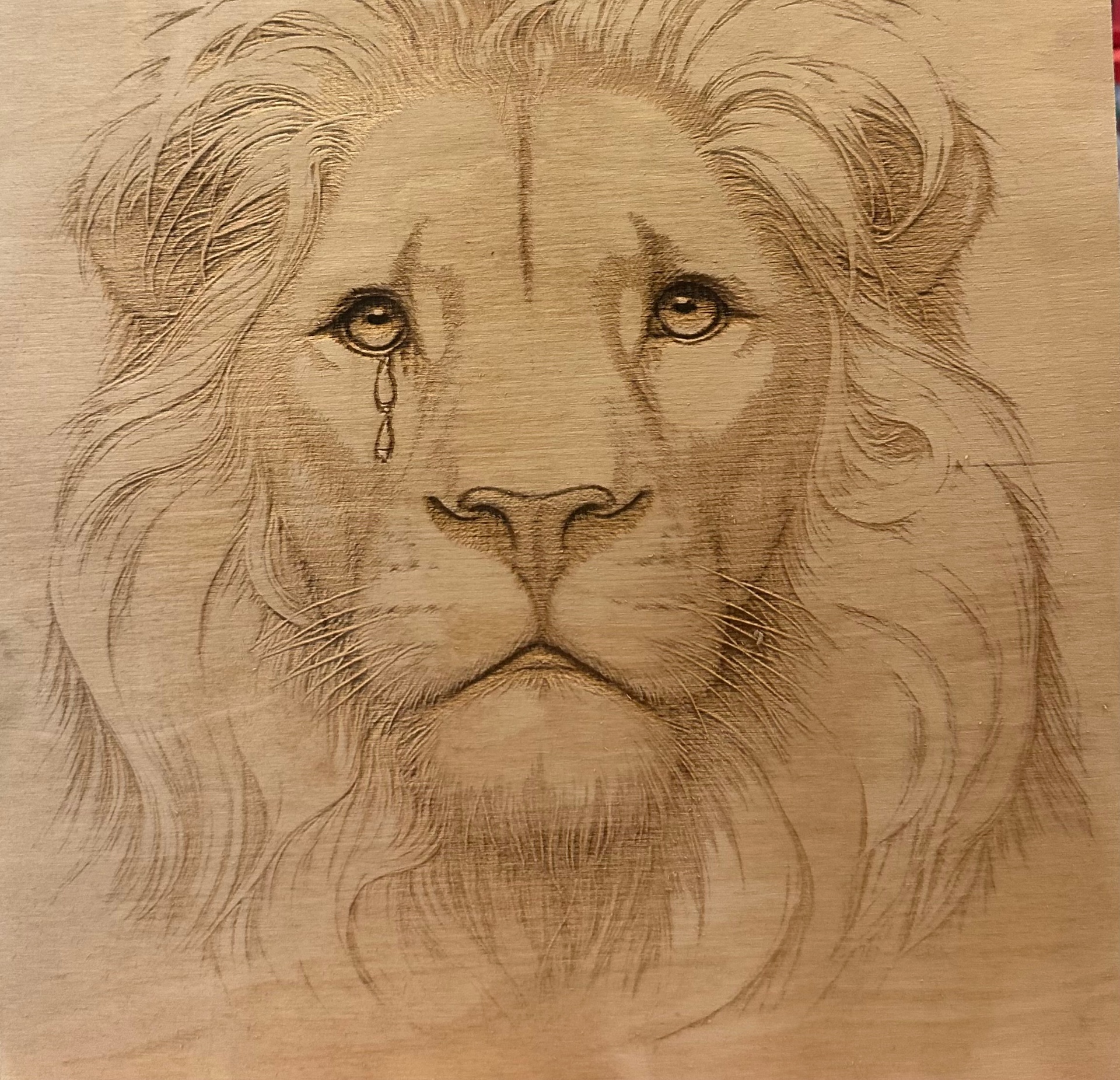 Lion's Tear
